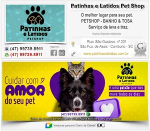 banho e tosa camboriu cachorro gato preço barato leva e traz disk tosa higienica patinhas e latidos