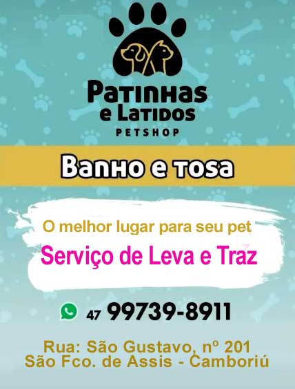 Banho e Tosa Perto de Mim Camboriú (47) 99739-8911 preço יהוה